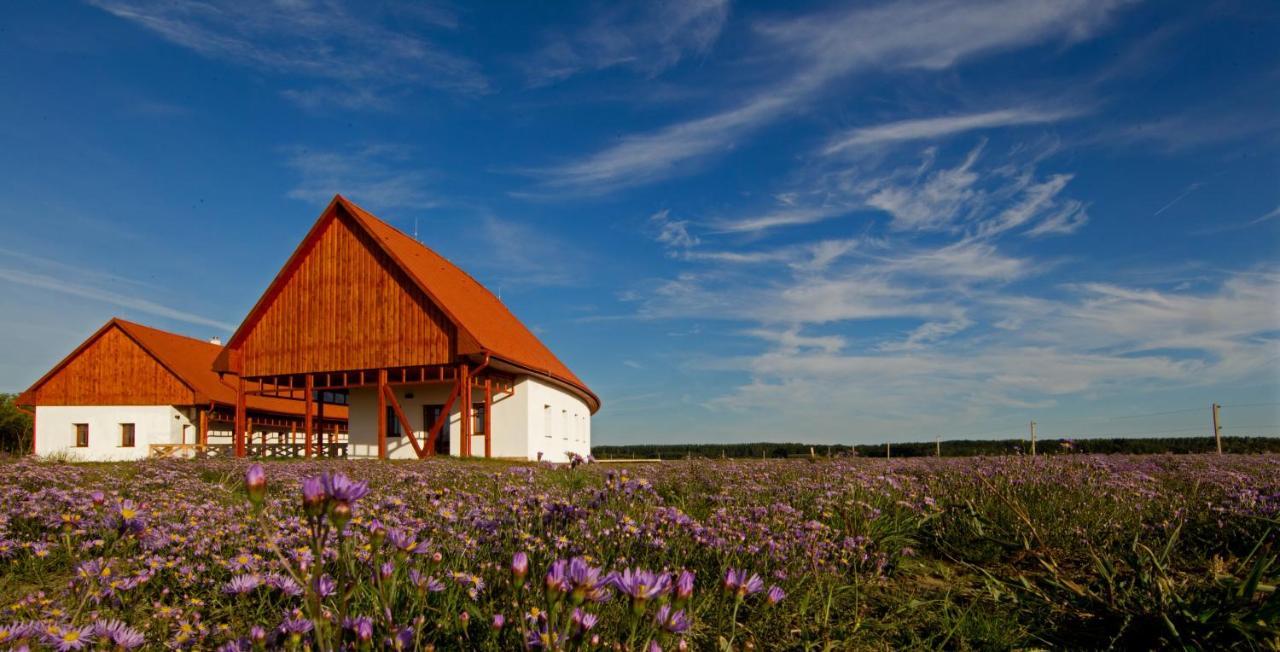 Bibic Nature Lodge Balmazújváros Exteriör bild